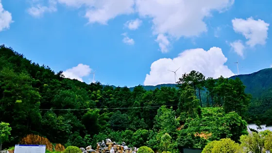 龍山森林公園