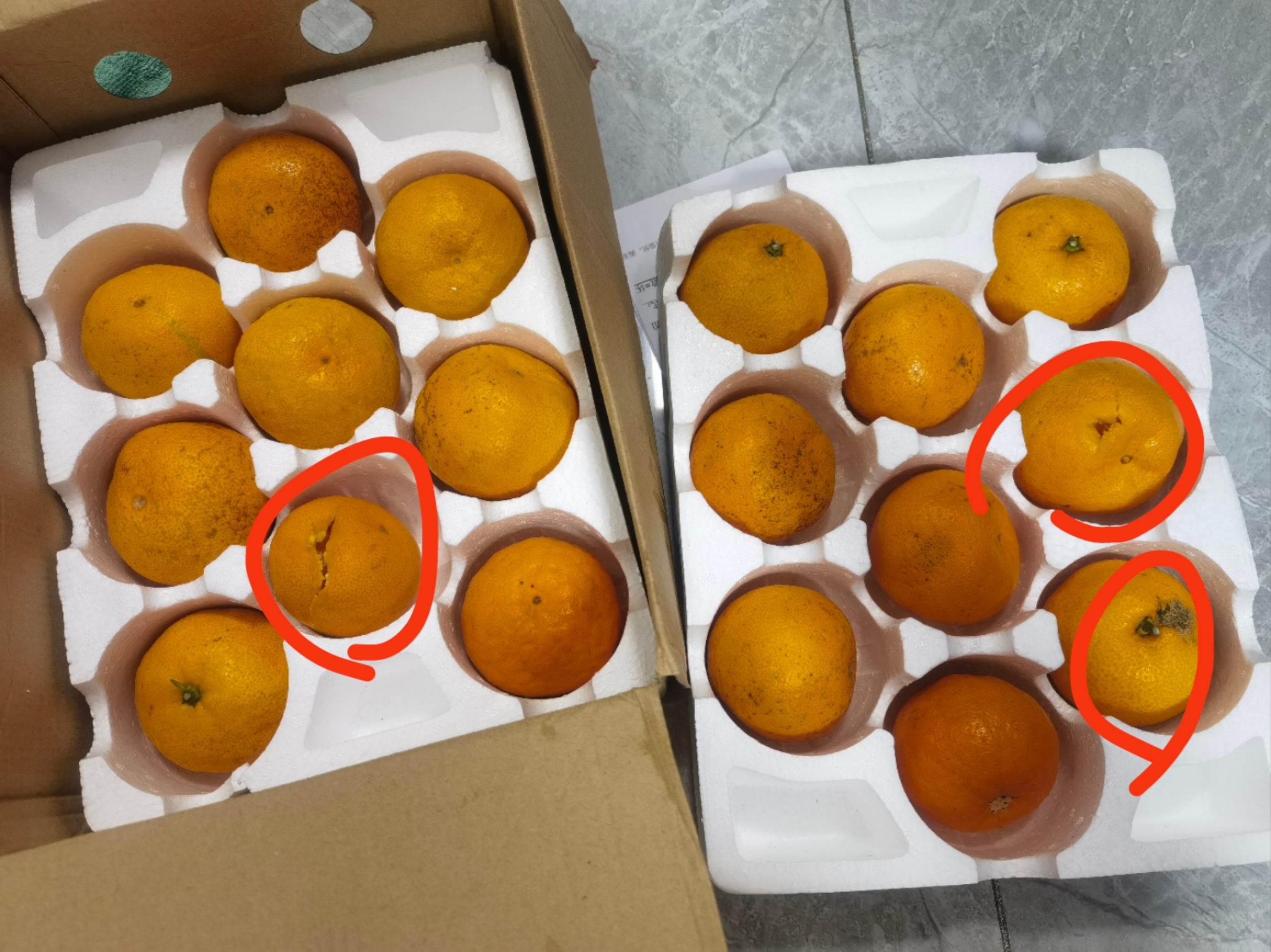 黄岩蜜橘，非常好吃的橘子，点个赞吧。
