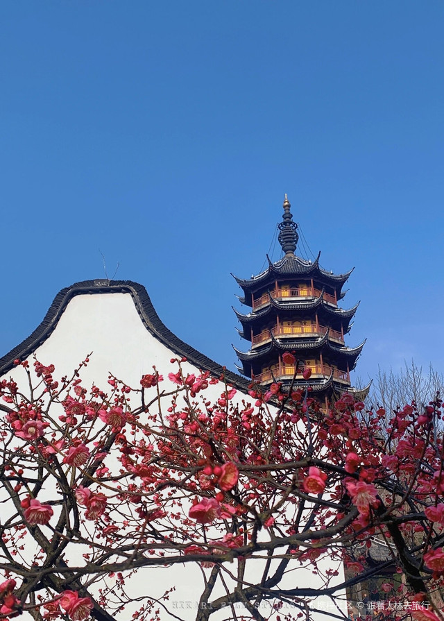 常州红梅阁游玩攻略-红梅阁门票多少钱/价格表-团购票价预定优惠-景点地址在哪里/图片介绍/参观预约/