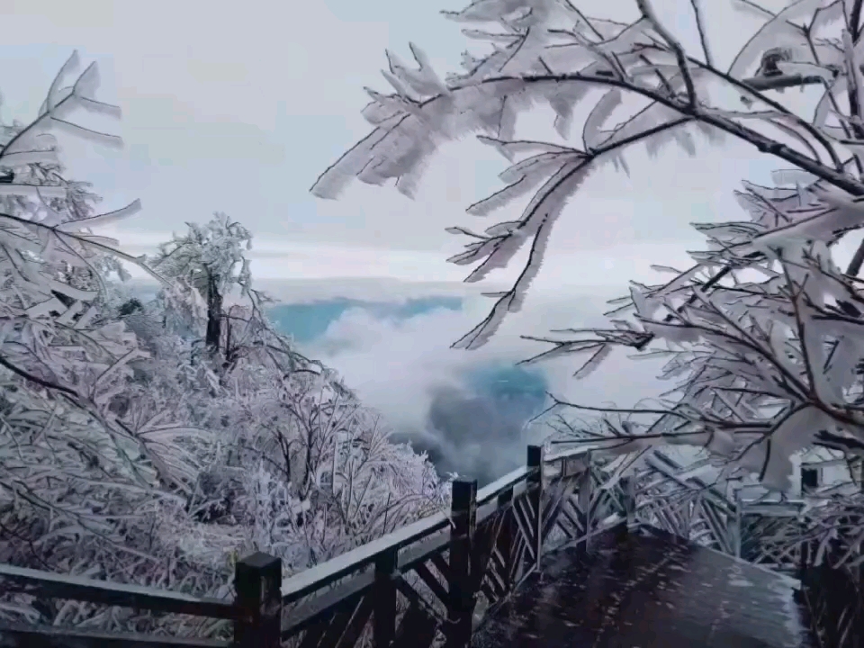 苍山负雪  明烛天南