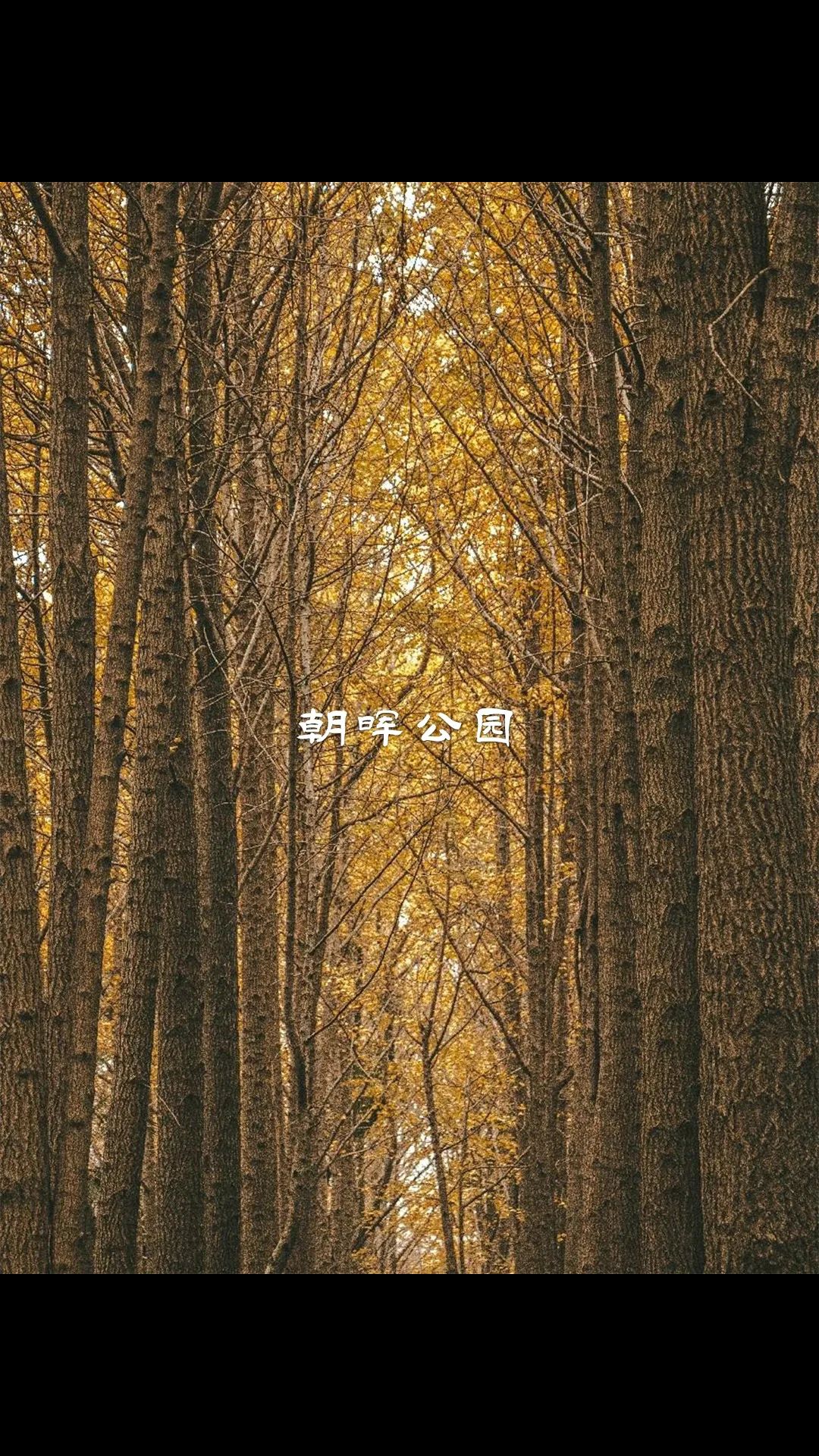 六塘红梅酒楼餐厅图片