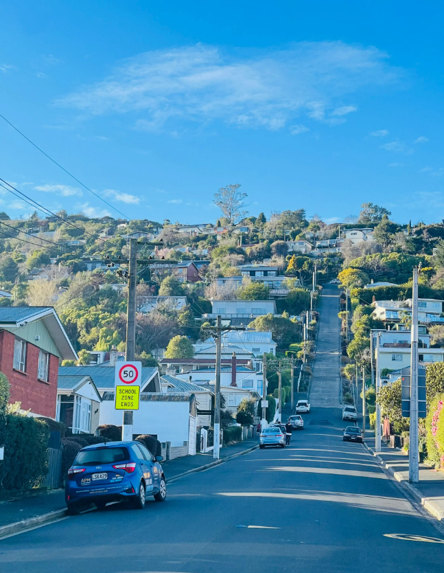 挑战世界之最！探索新西兰达尼丁的极限斜坡——鲍德温大街