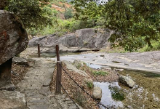 汕尾红椎林生态公园景点图片