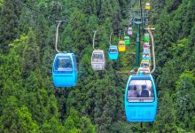 鸡公山原始森林景点图片