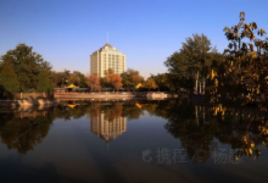 青山公园景点图片