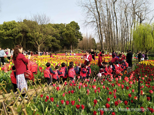 春游-又是一年春来到