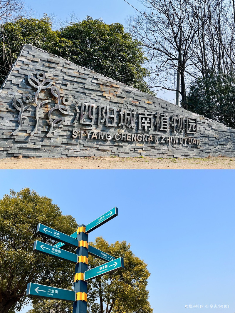 城南植物园|适合泗阳人周末游玩的好去处!-携程攻略