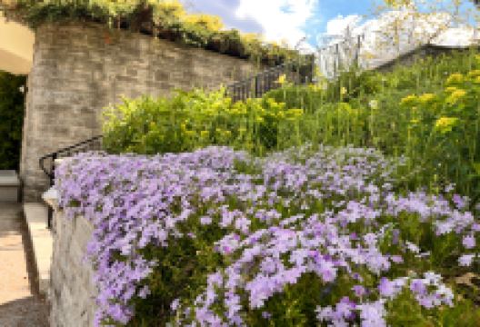加拿大皇家植物园景点图片