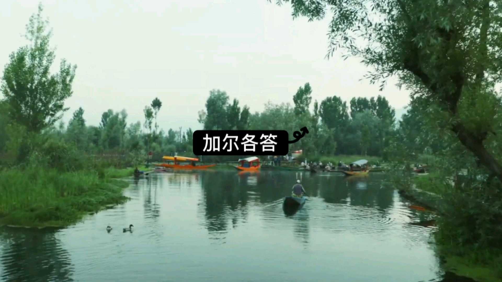 印度加尔各答