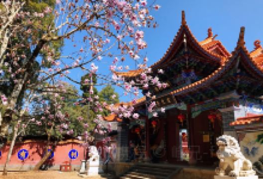 永平宝台山国家森林公园-金光寺景点图片