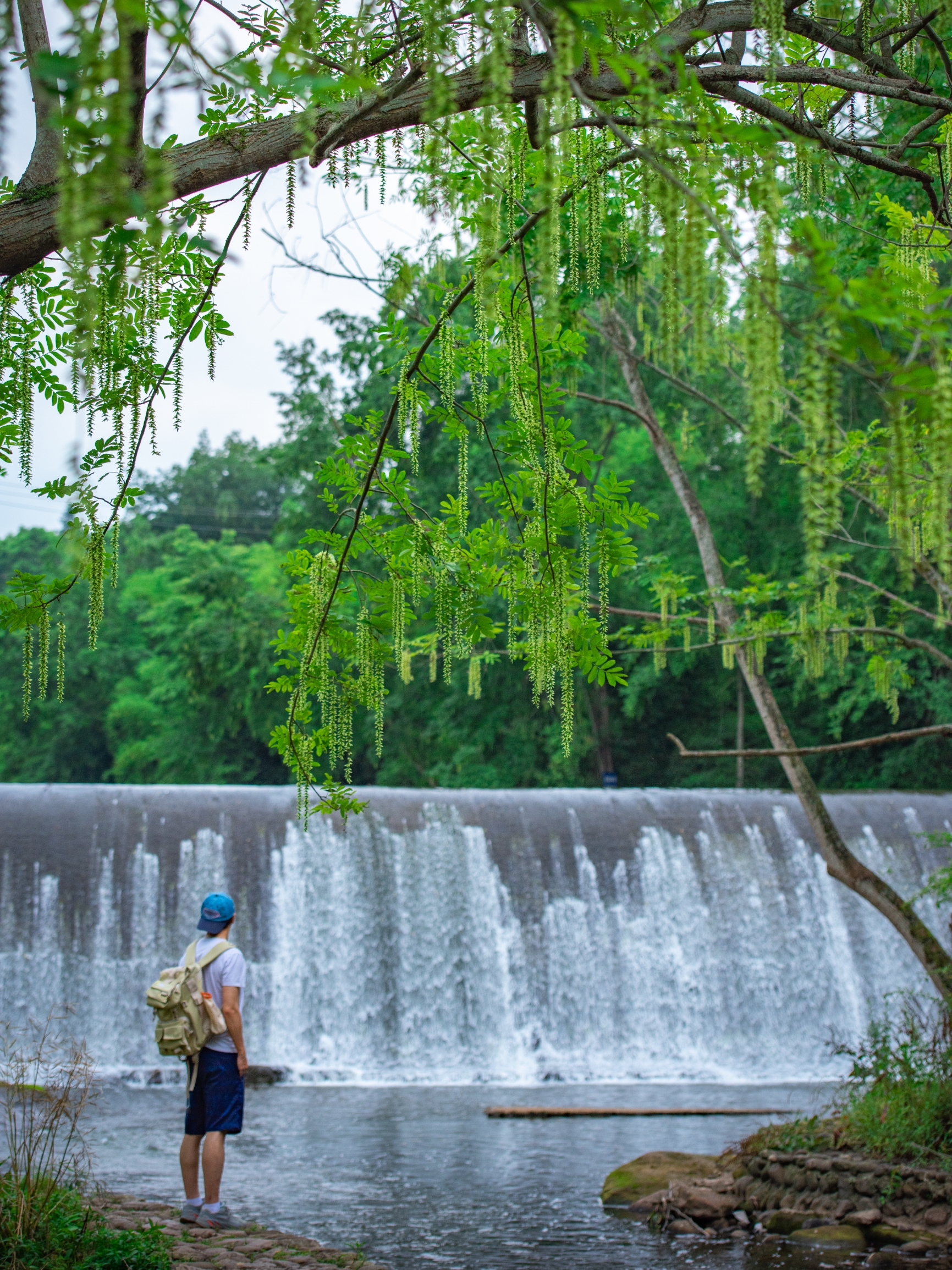 邓牛肉火锅餐厅图片