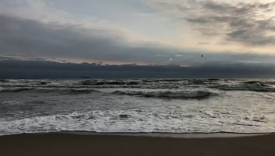 波罗的海上的“海燕”