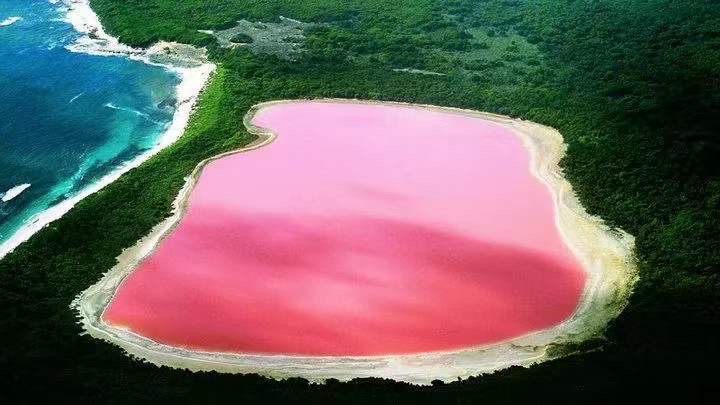 玫瑰湖——塞内加尔