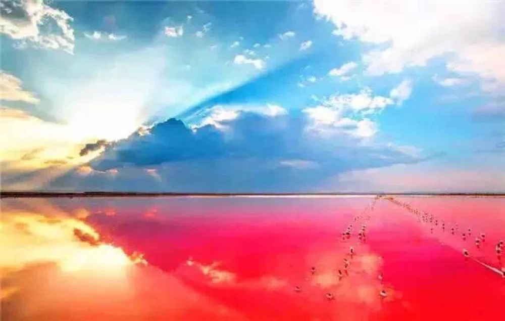 比天空之境更美的粉色盐湖