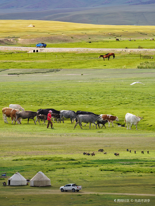 《中国国家地理》最美湿地,新疆巴音布鲁克_和静巴音布鲁克草原玩法