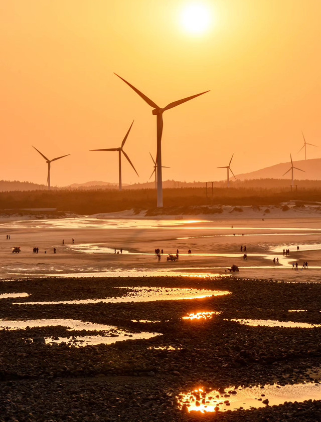 平潭长江澳风车海,真的太美啦!