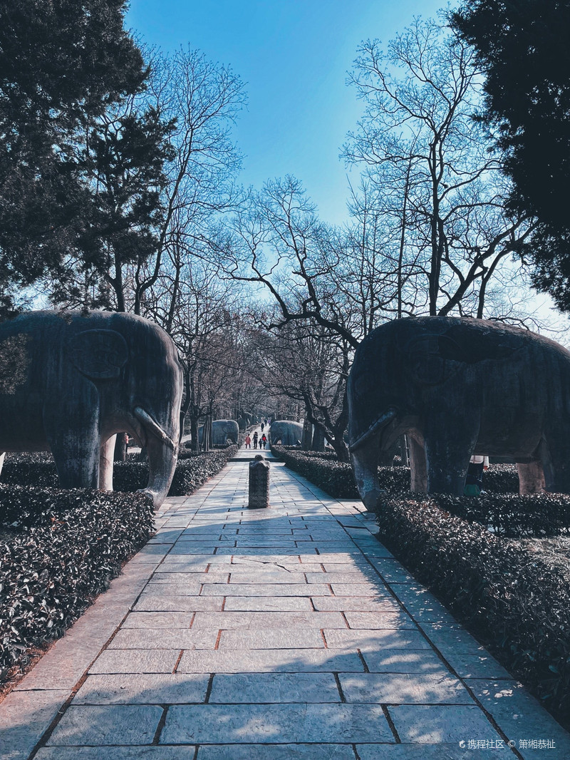 觅在南京|明孝陵惊艳我的600年冬日时光-携程攻略