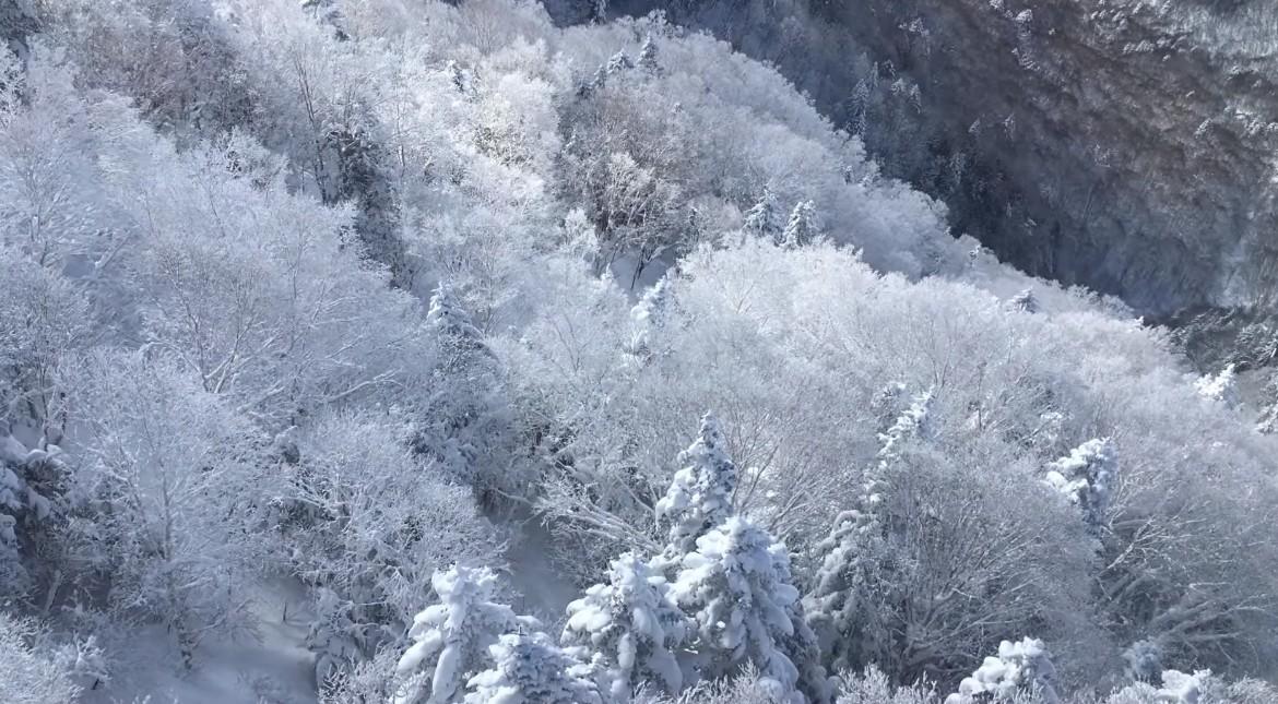 在「新穗高缆车」上欣赏北阿尔卑斯冬日绝景  「新穗高」所在的「飞驒山脉」位于本州岛的中央，横跨岐阜县