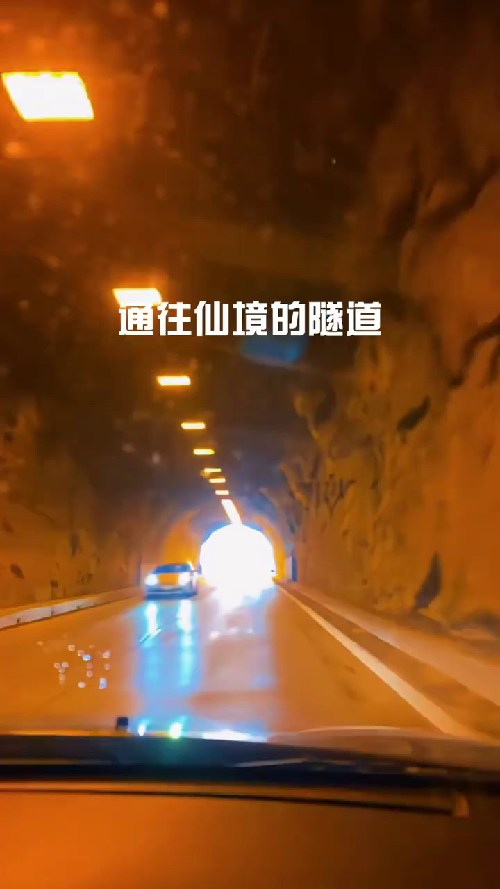 误入通往仙境的隧道