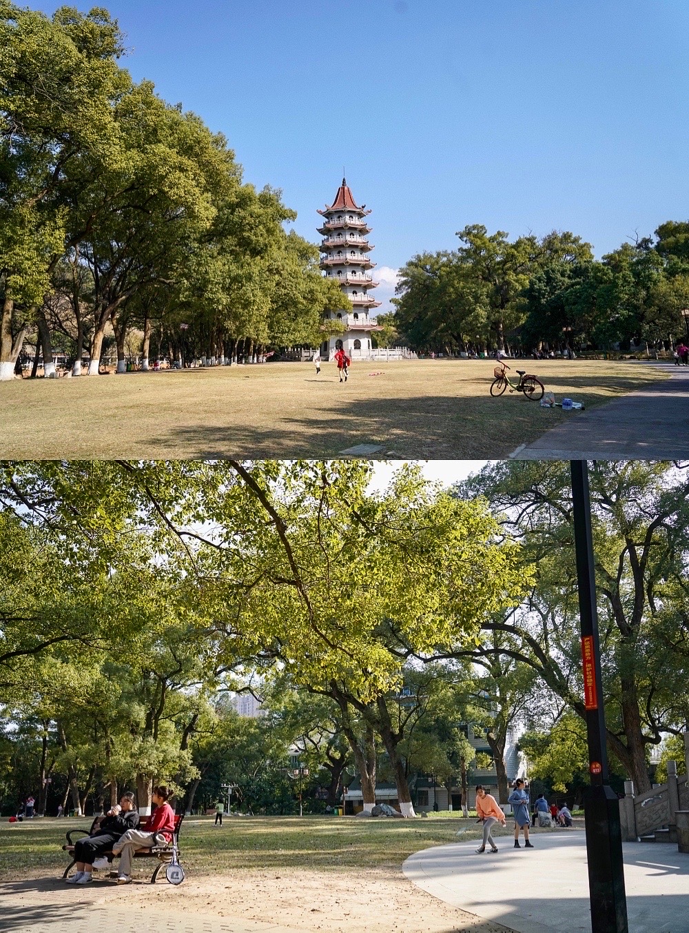 1-Day Zhangping Tour: Aroma of Tea at Taipin Sakura Garden, Historical Charm of Linjiang Tower