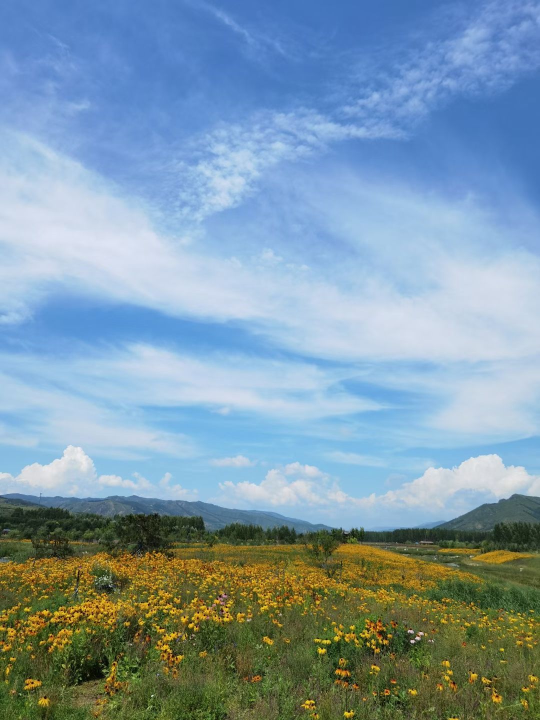 后园山子