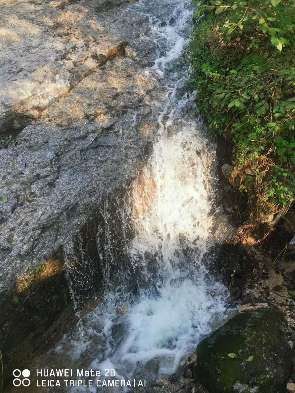 鸡冠山露营