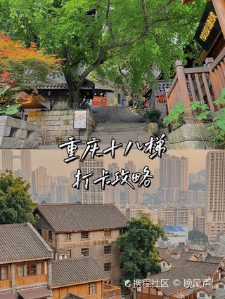 重庆社区团购：城市微循环的新模式