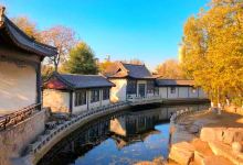 西沽公园景点图片