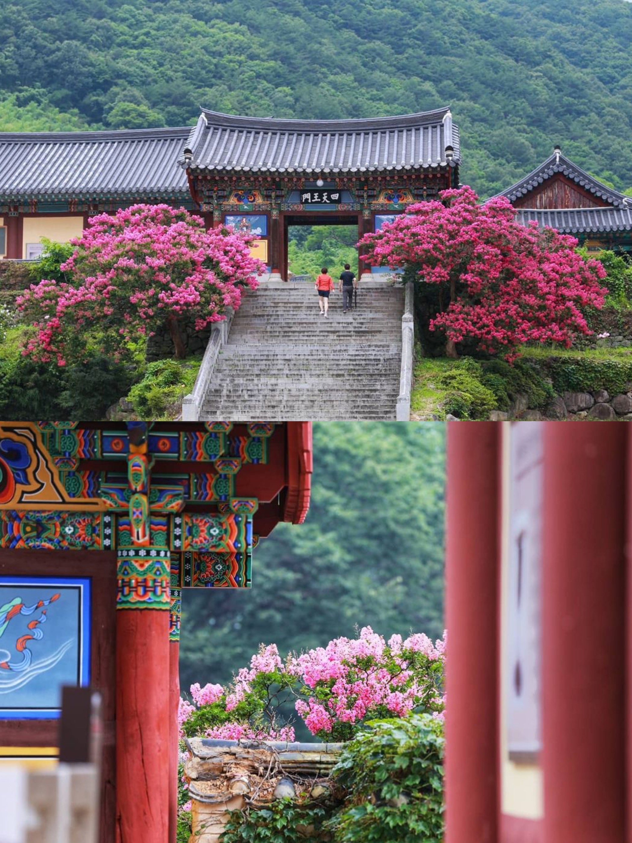 陕川郡的海印寺：韩国三大古寺之一