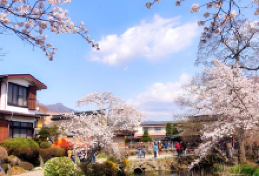 忍野八海名泉そば美食图片