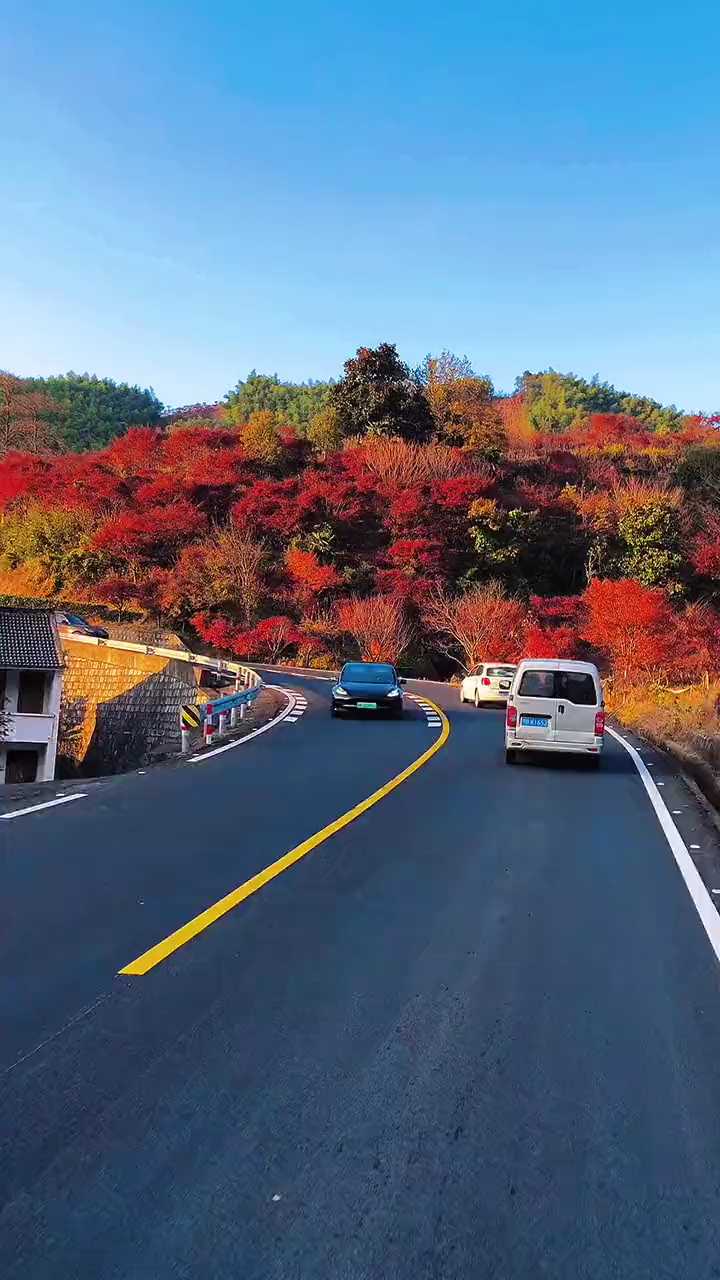 #打卡宁波四明山 宁波最美的秋天一定是在四明山，今年还没来得及去看的，#有生之年必看的风景 四明山度