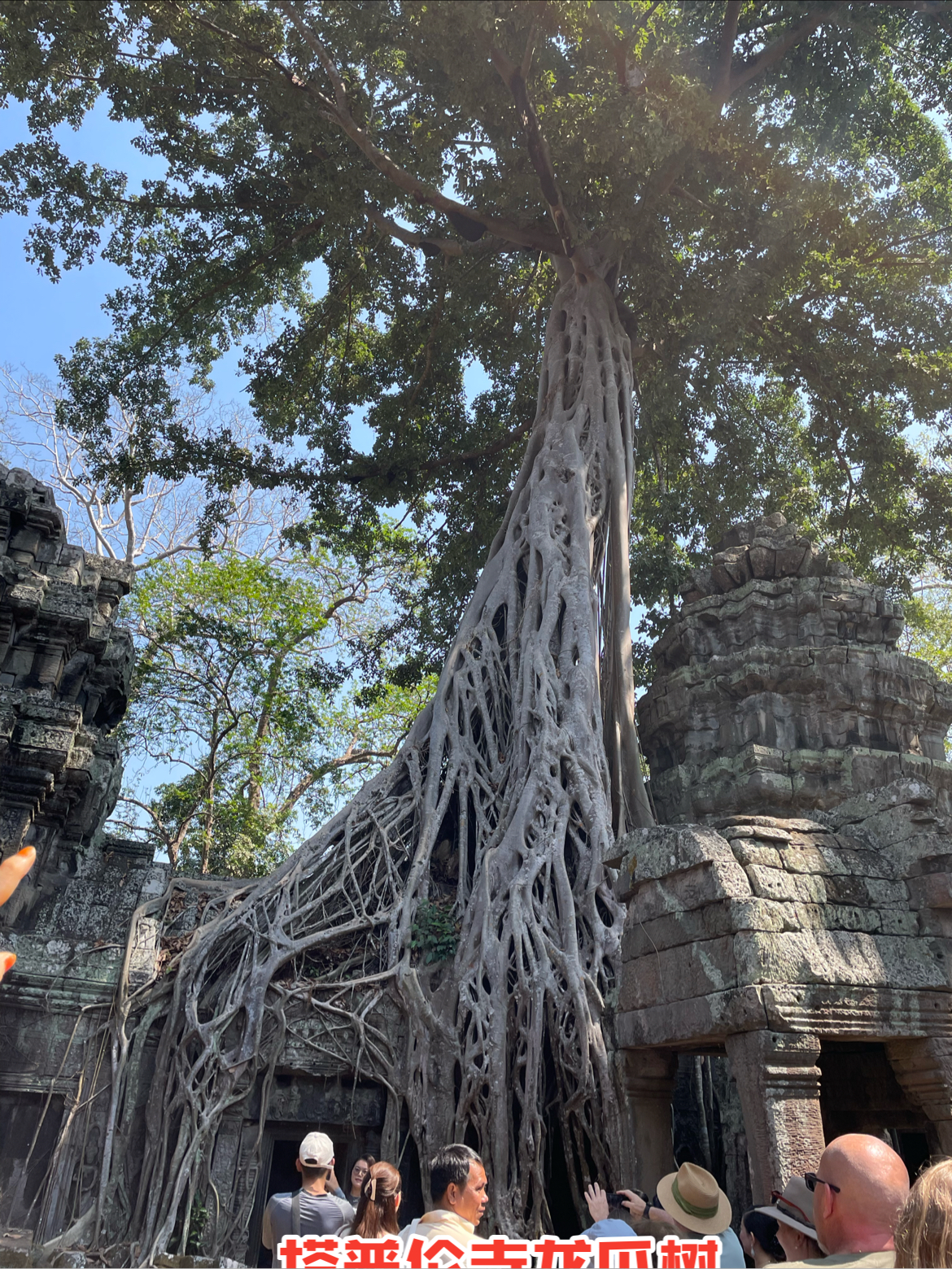 柬埔寨🇰🇭塔普伦寺