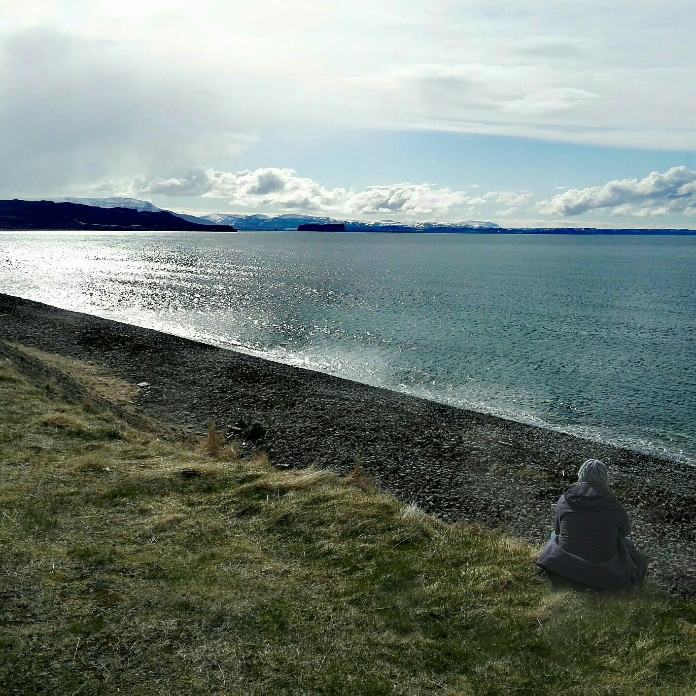 斯卡加峡湾～冰岛的马谷