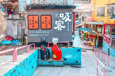 顶澳仔猫街