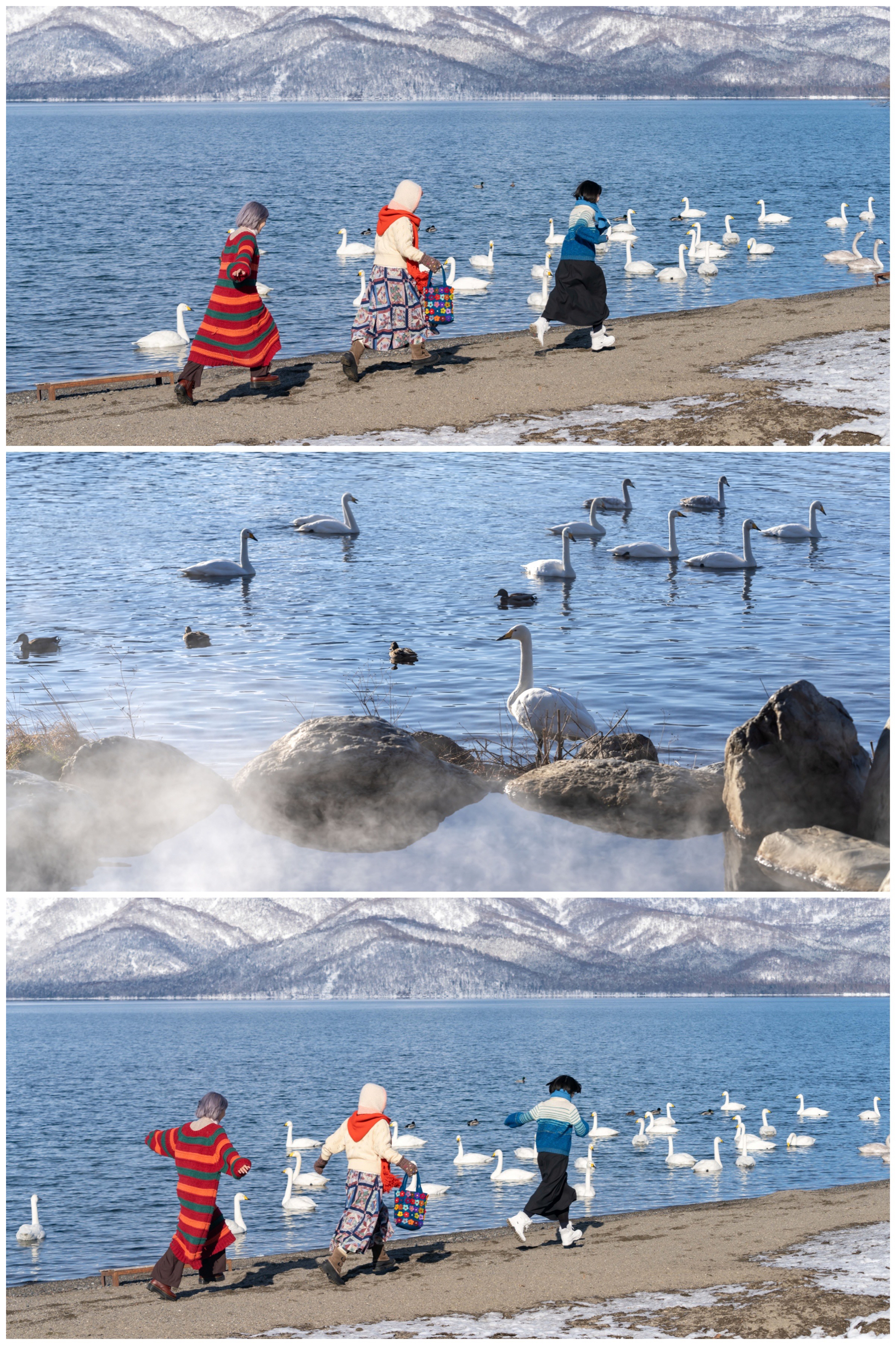 北海道旅游｜屈斜路湖，在雪天与天鹅共舞