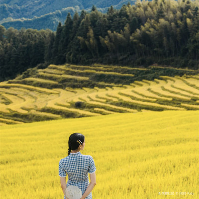 金灿灿的宝藏地🌾邂逅梦幻梯田