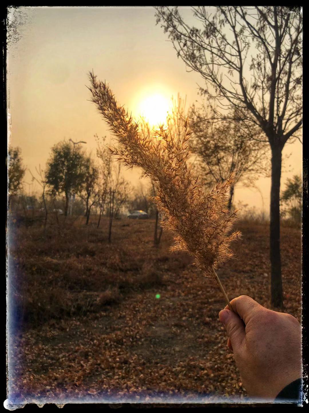 天云宾馆附近风景