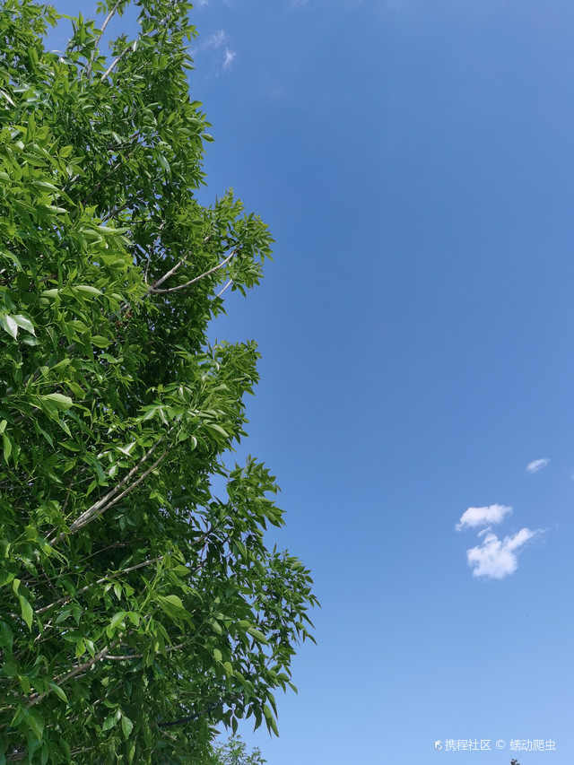 滦南酒店推荐|蓝海大酒店体验