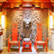 小龙坎老火锅(红星美凯龙店)
