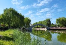 青龙河森林公园景点图片