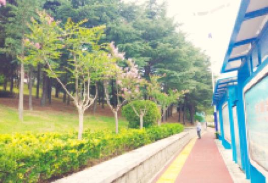 莱山佳世客(银海路店)购物图片
