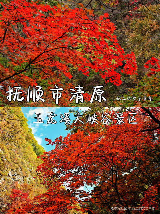 玉龙溪门票