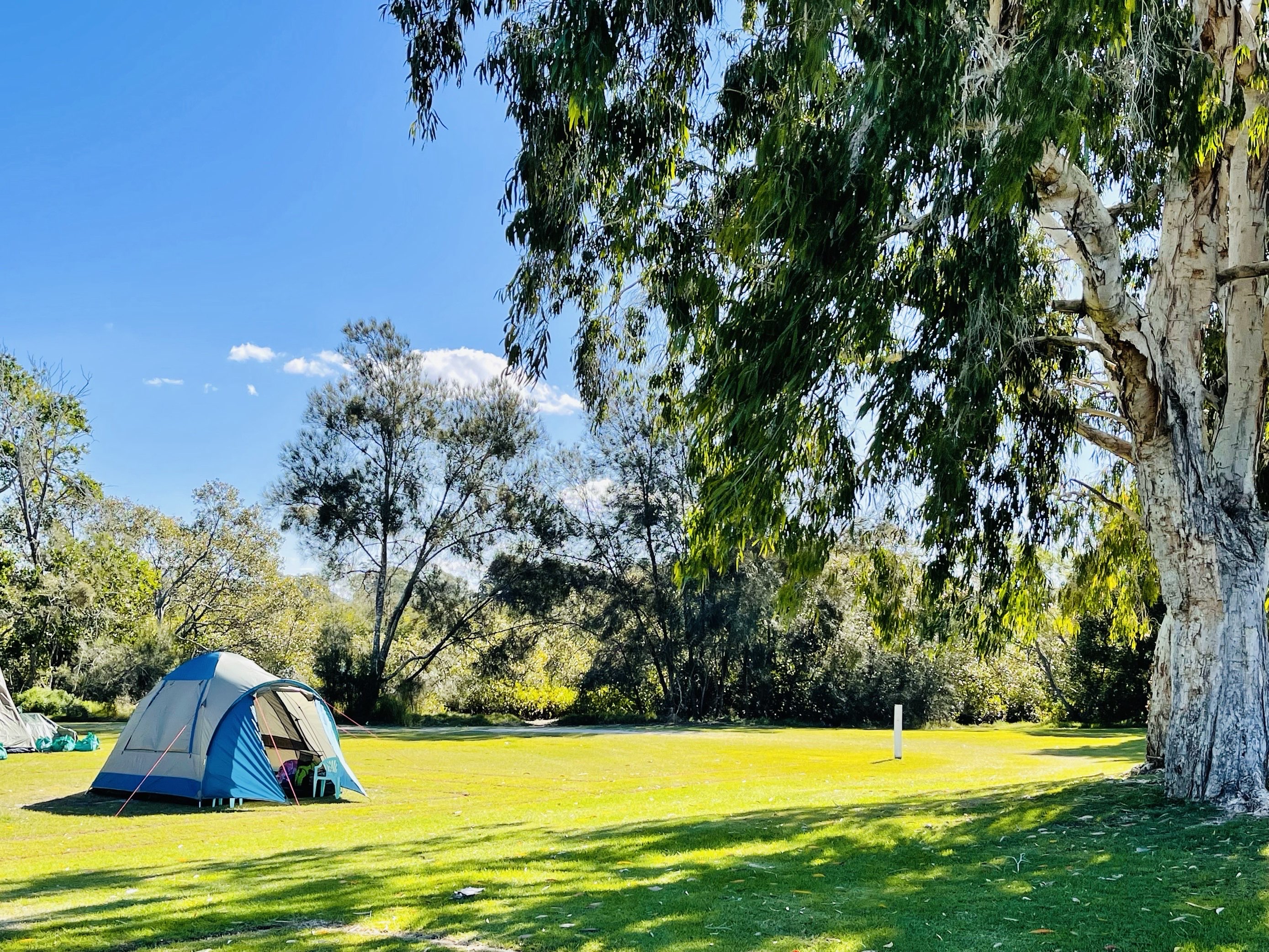 澳大利亚一处特别惬意的假日公园⛺️