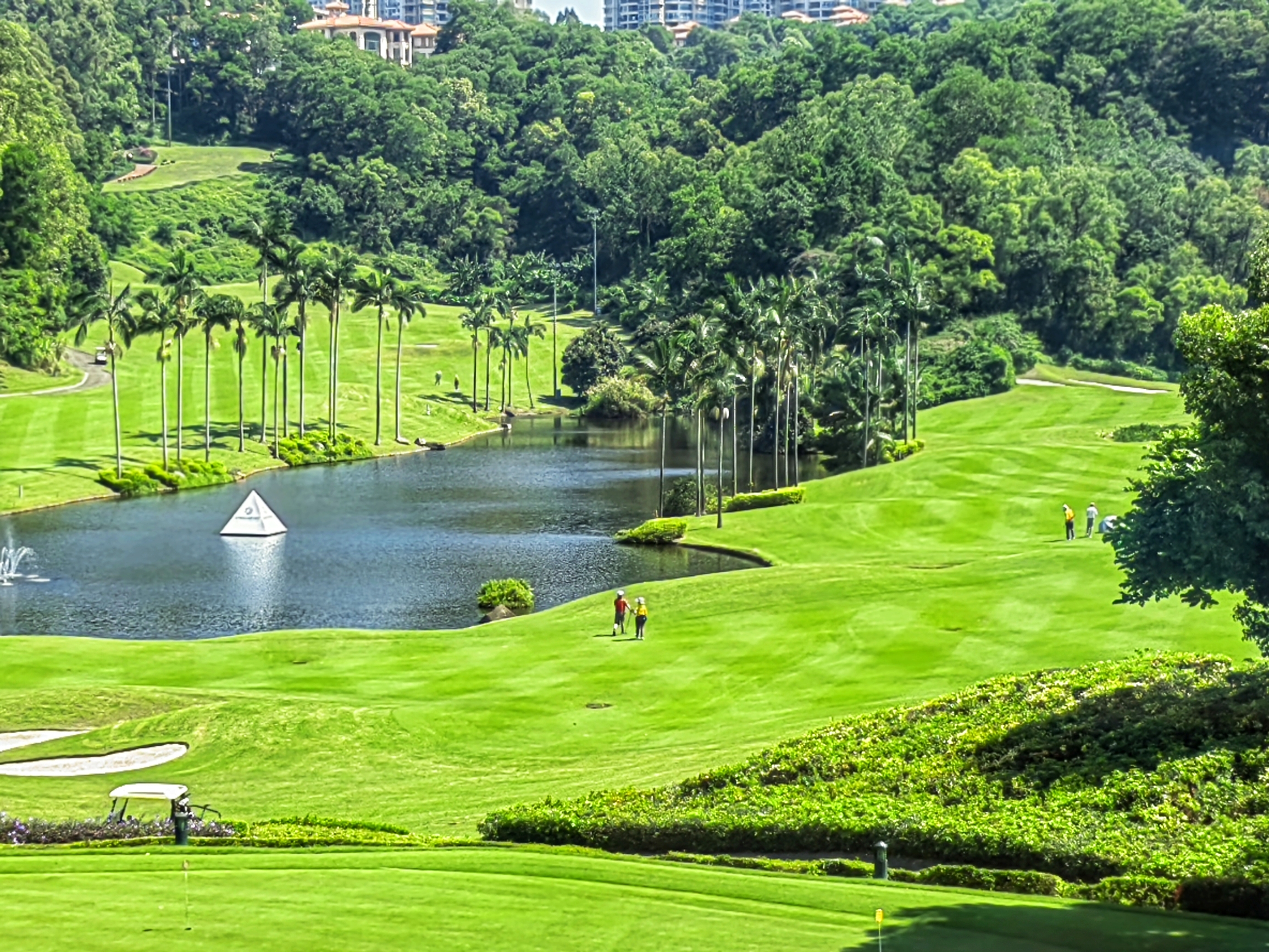 雅居乐长江酒店-翠茵阁西餐厅