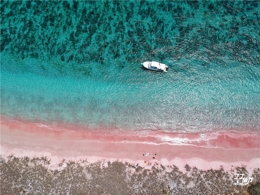 科莫多岛的粉红沙滩还保留着原生态的美