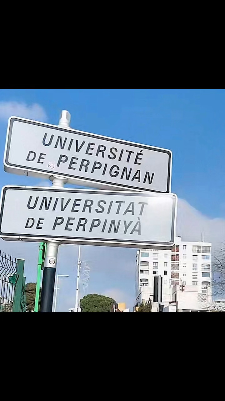 佩皮尼昂大学