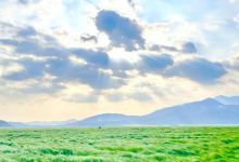鄱阳湖大草原景区-无念岛景点图片