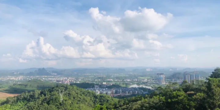玉林濕地公園-龜山公園