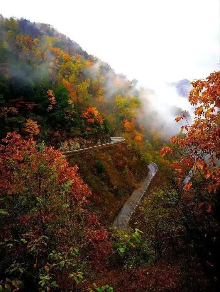 飞渡峡景区位于大巴山北麓、陕西最南端安康市镇坪县曙坪镇境内，距离县城40公里。飞渡峡以奇树、怪石、飞