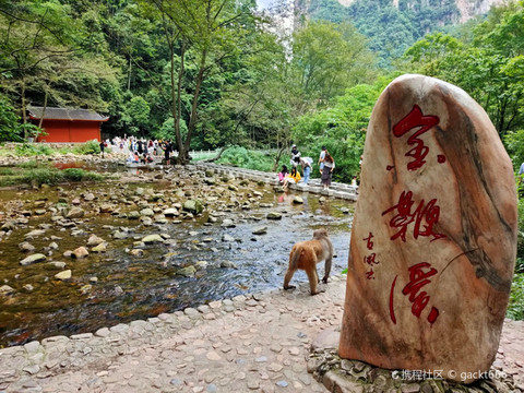 张家界金鞭溪大峡谷